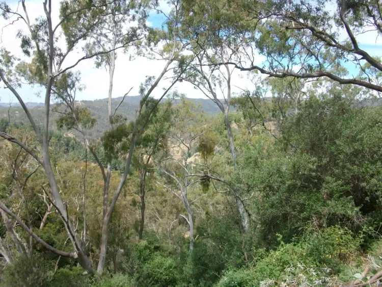 Seventh view of Homely rural property listing, LOT 19 Church Road, Montacute SA 5134