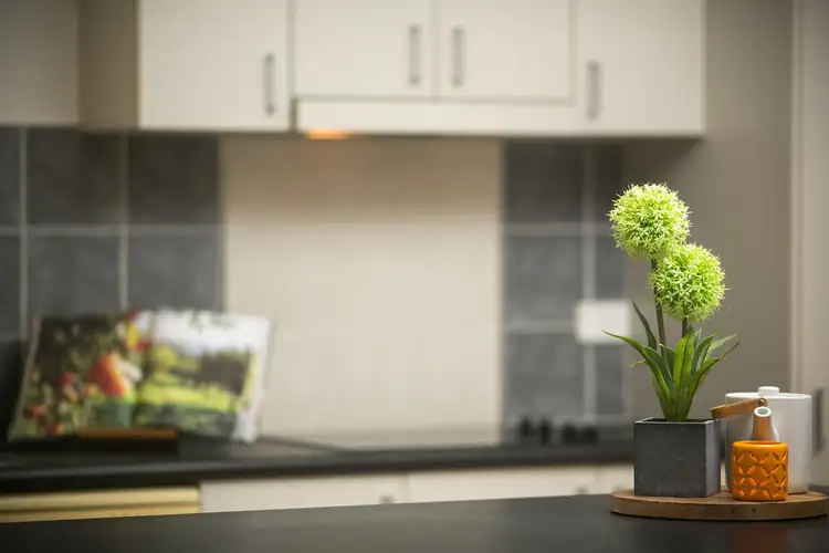 Sixth view of Homely house listing, 66 Moore Road, Kewarra Beach QLD 4879