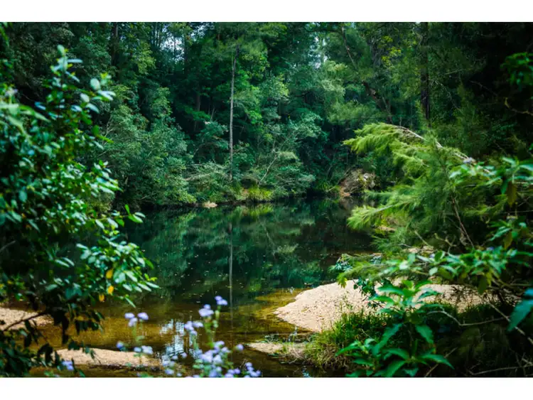Fourth view of Homely rural property listing, 469 Kalang Road, Bellingen NSW 2454