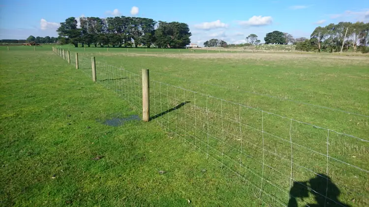 Fifth view of Homely rural property listing, 95 Settlement Road, Chocolyn VIC 3260