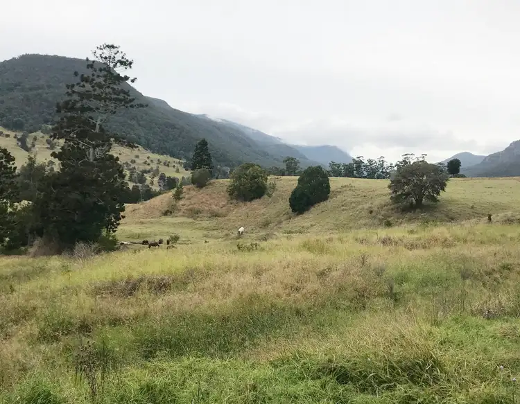 Fourth view of Homely land listing, 2294 Nerang-Murwillumbah Road, Numinbah Valley QLD 4211