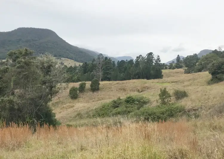 Fifth view of Homely land listing, 2294 Nerang-Murwillumbah Road, Numinbah Valley QLD 4211