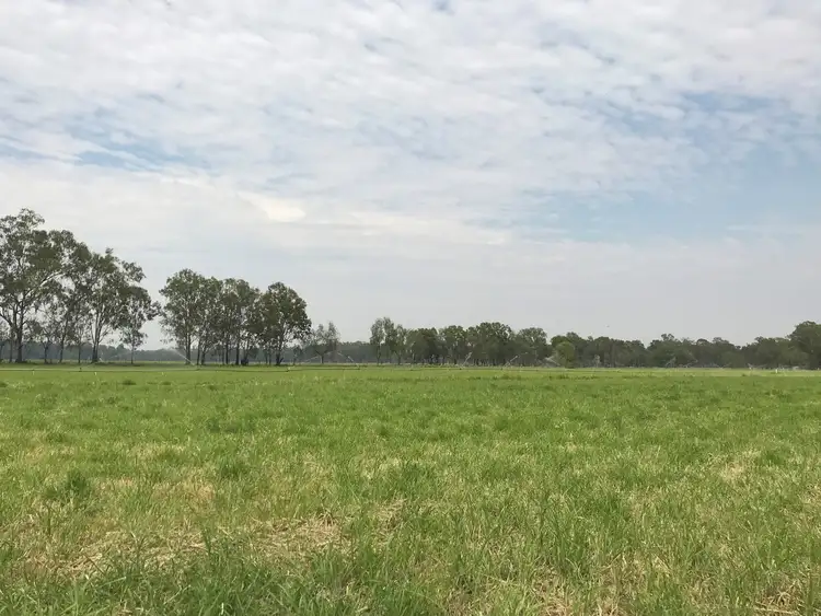 Seventh view of Homely rural property listing, 624 Dee River Road, Dululu QLD 4702