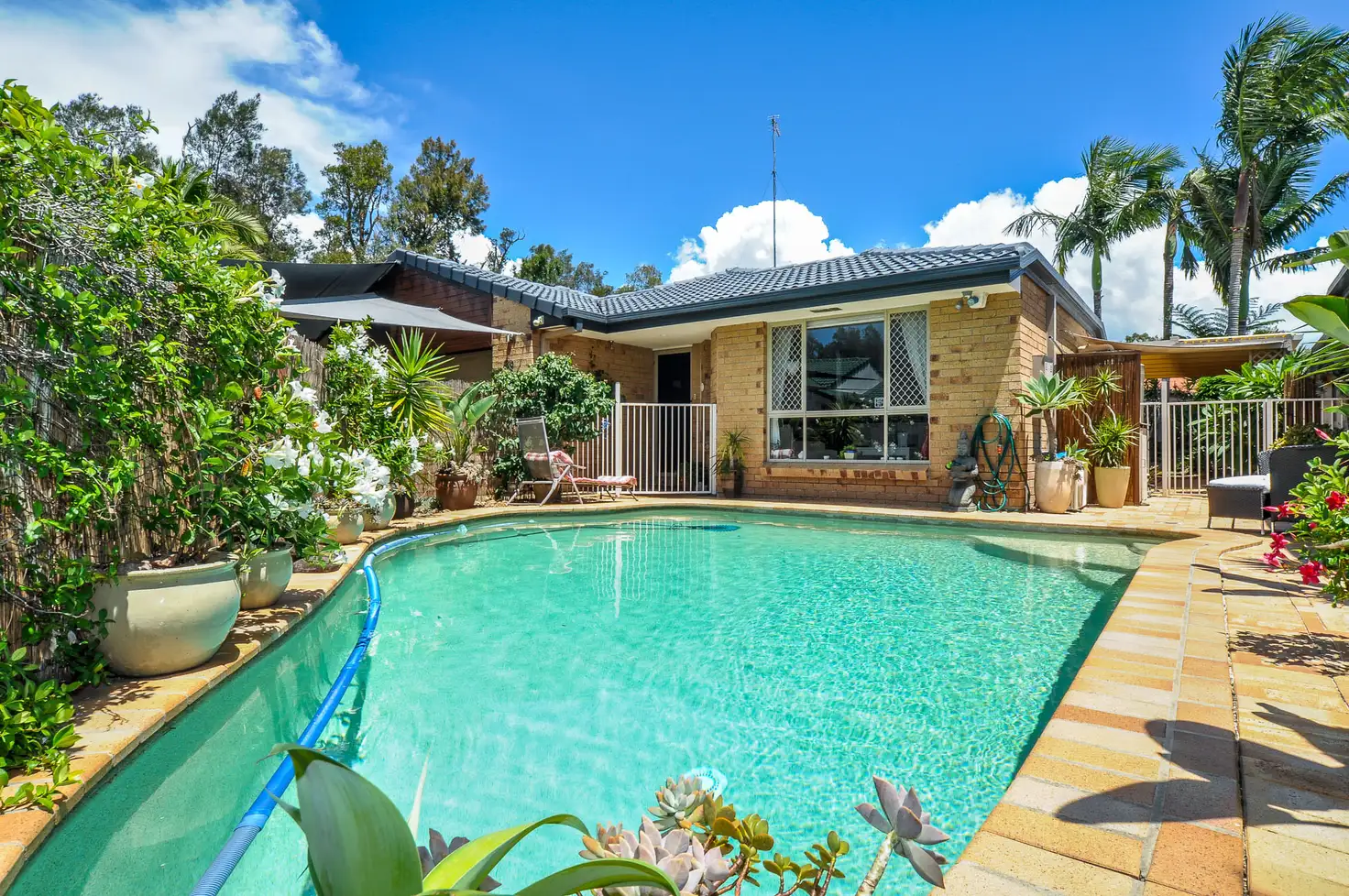 Main view of Homely house listing, 39 Numbat Court, Coombabah QLD 4216