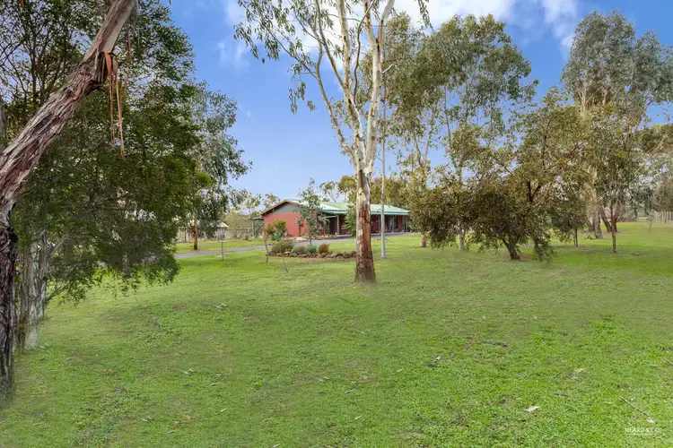 Main view of Homely house listing, 5548 Calder Highway, Big Hill VIC 3555