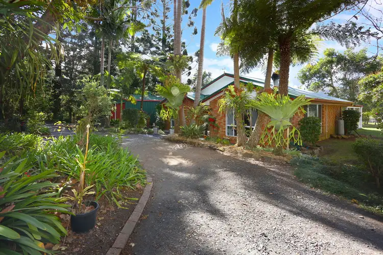 Fourth view of Homely house listing, 2313 Springbrook Road, Springbrook QLD 4213