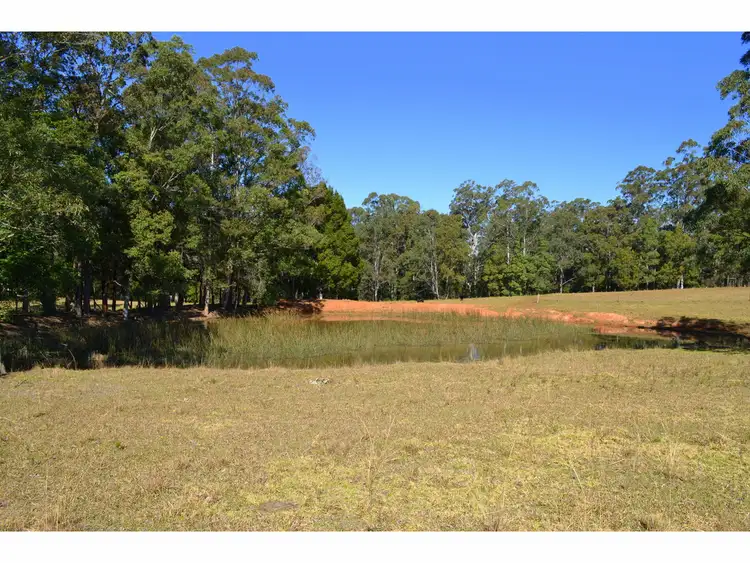 Third view of Homely rural property listing, 822 Pembrooke Road, Pembrooke NSW 2446