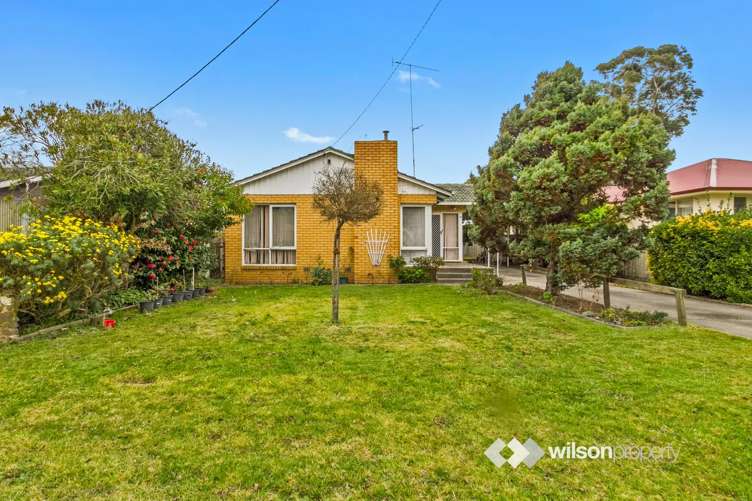 Main view of Homely house listing, 50 Davidson Street, Traralgon VIC 3844