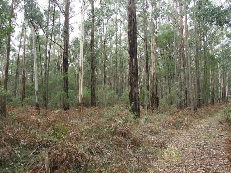 Fifth view of Homely land listing, LOT 4 McDonalds Track, Narracan VIC 3824