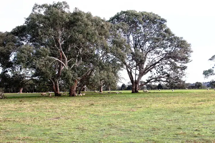 Fourth view of Homely land listing, Sobeys Road, Hamilton VIC 3300
