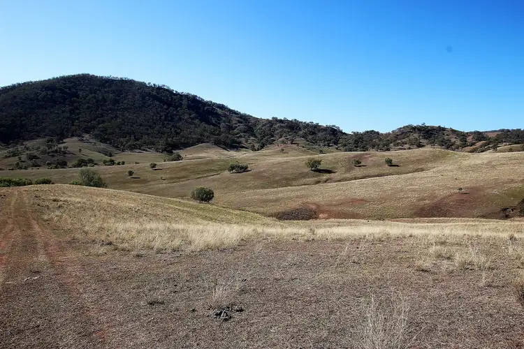 Sixth view of Homely rural property listing, Lot 225 Sandy Creek Road, Mccullys Gap NSW 2333