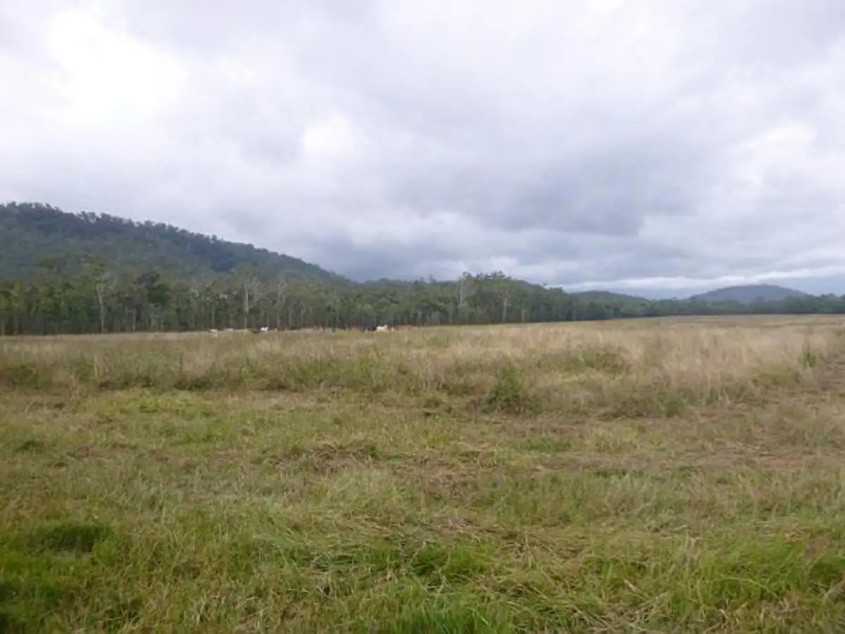 Main view of Homely rural property listing, LOT 1 Carrig Dhown Road, Long Pocket QLD 4850