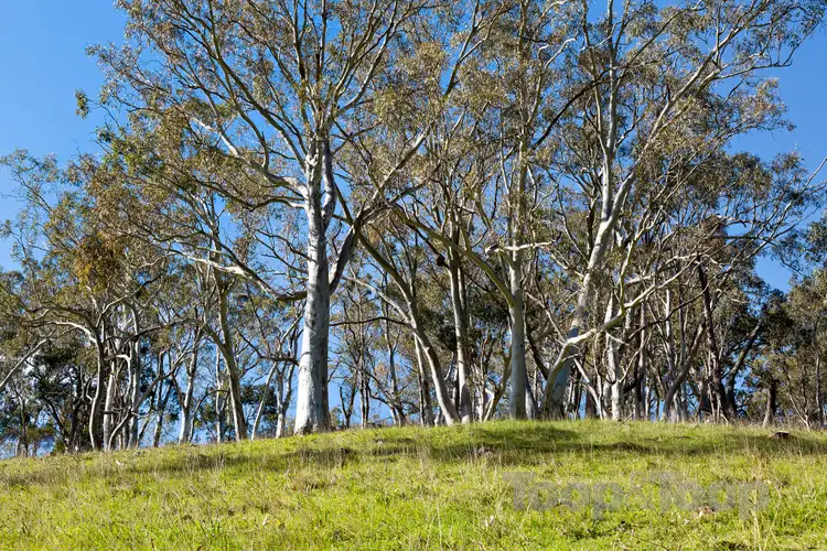 Fifth view of Homely land listing, 10 Valley Road, Montacute SA 5134