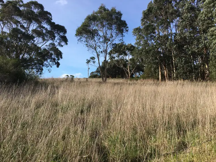Second view of Homely land listing, Lot 6 Timboon - Curdievale Road, Curdievale VIC 3268