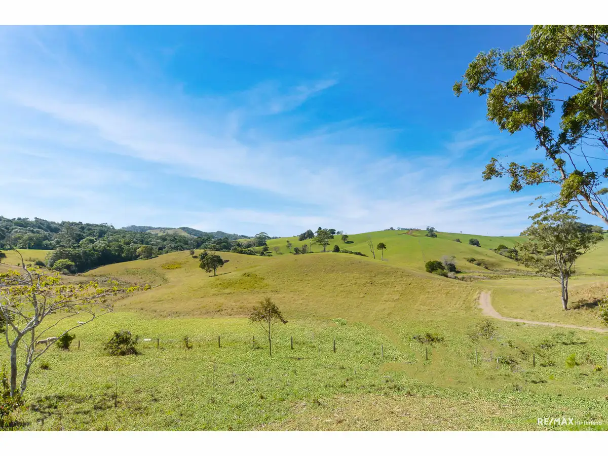 Main view of Homely land listing, 348 Reesville Road, Reesville QLD 4552