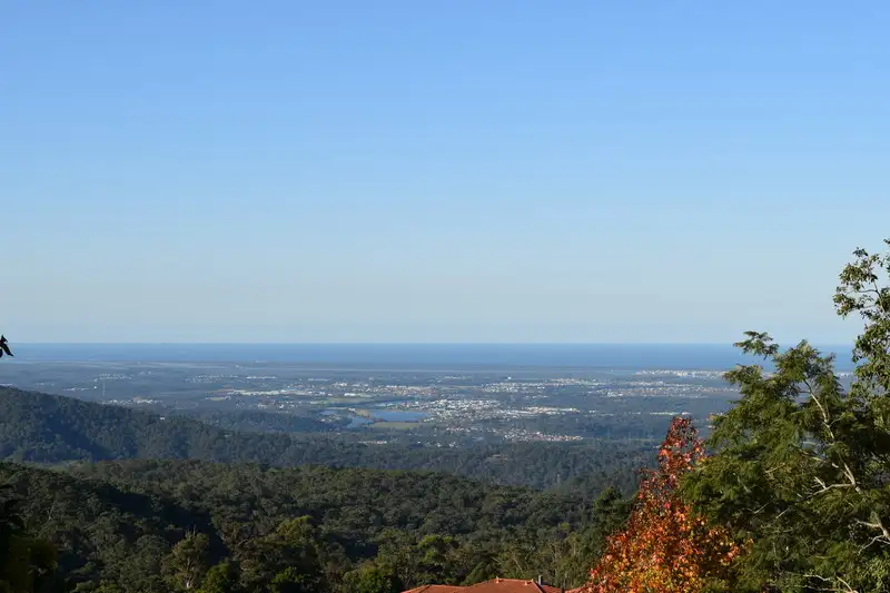 Main view of Homely house listing, 29 CLIFF Way, Tamborine Mountain QLD 4272