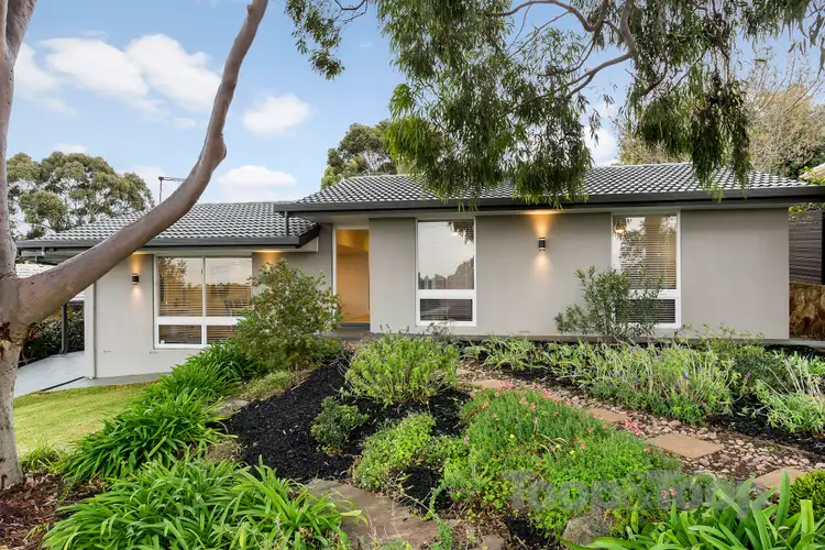 15 Morning Glory Avenue, O'halloran Hill SA 5158