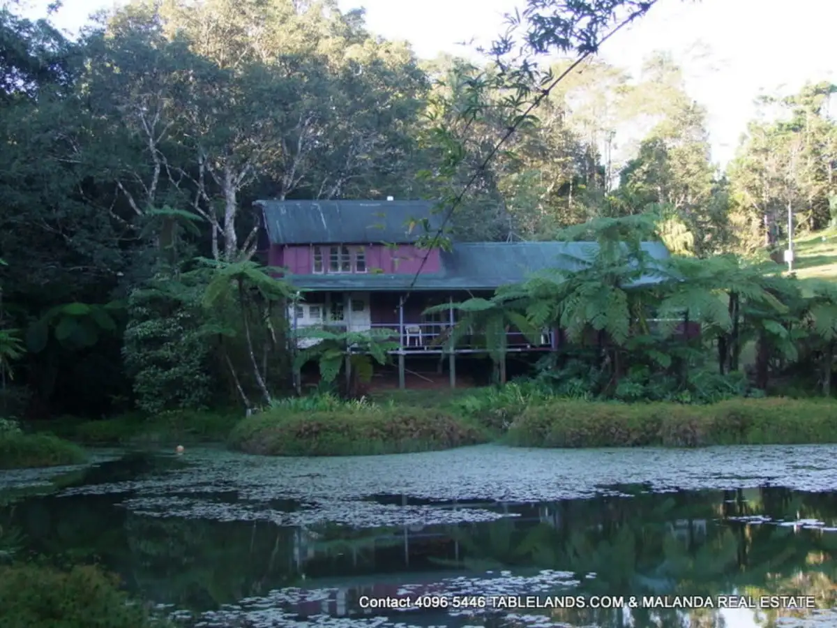 Main view of Homely rural property listing, RR1086/Lot 1 OLD PALMERSTON Highway, Millaa Millaa QLD 4886