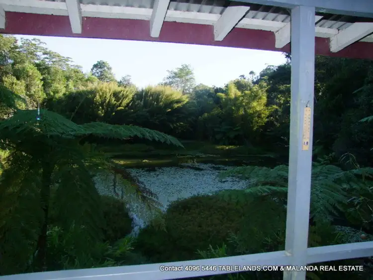 Seventh view of Homely rural property listing, RR1086/Lot 1 OLD PALMERSTON Highway, Millaa Millaa QLD 4886