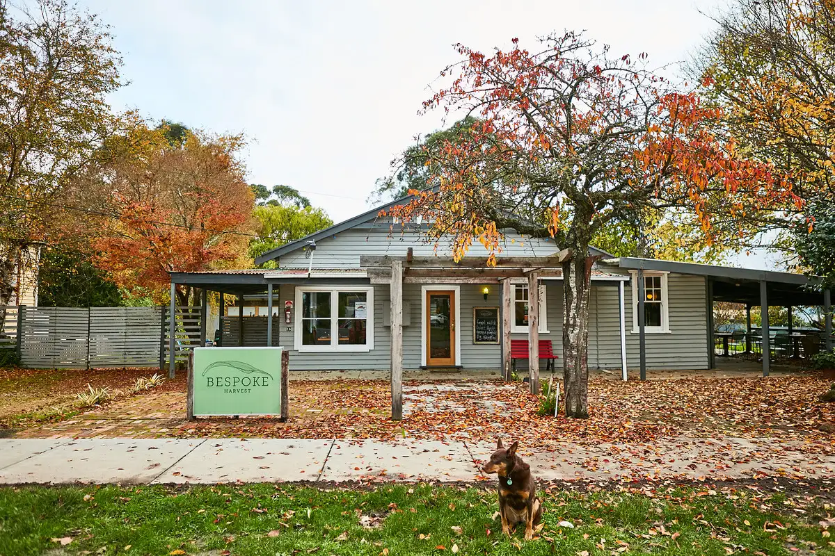 Main view of Homely house listing, 16 Grant Street, Forrest VIC 3236