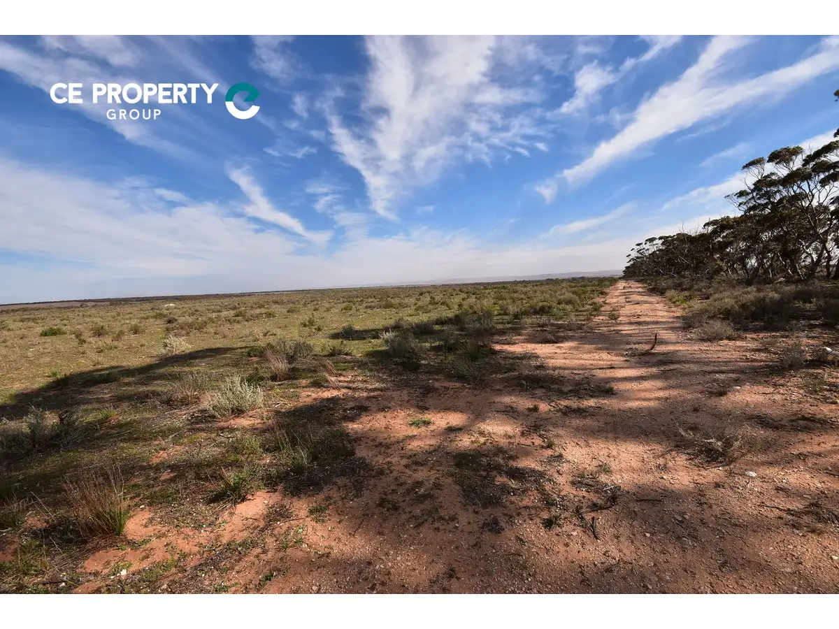 Main view of Homely rural property listing, Allot. 21 Black Hill Road, Cambrai SA 5353