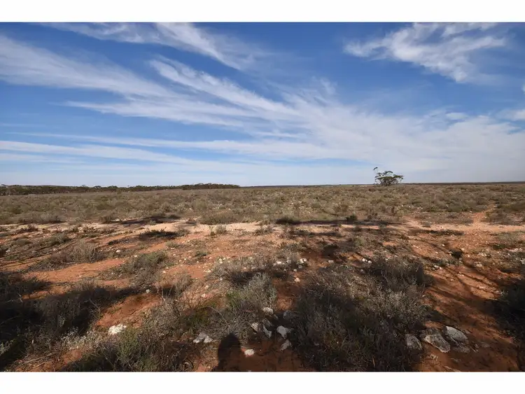 Second view of Homely rural property listing, Allot. 21 Black Hill Road, Cambrai SA 5353
