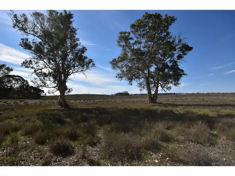 Sixth view of Homely rural property listing, Allot. 21 Black Hill Road, Cambrai SA 5353