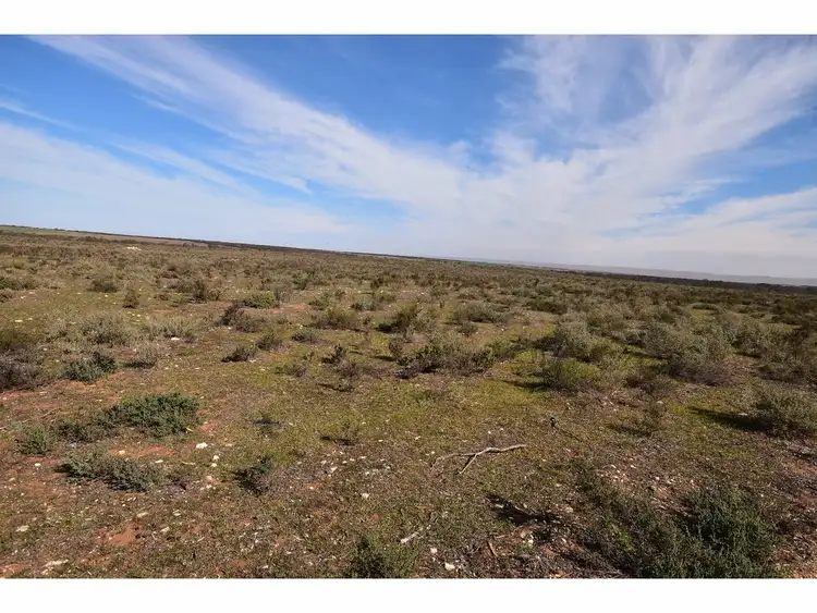 Seventh view of Homely rural property listing, Allot. 21 Black Hill Road, Cambrai SA 5353