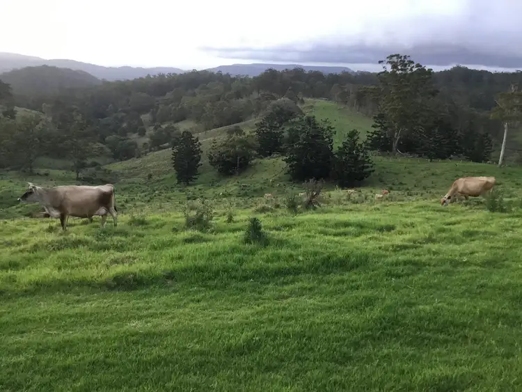 Fifth view of Homely rural property listing, LOT 69 SP258974, 14-126 Sellin Road, Mount Mee QLD 4521