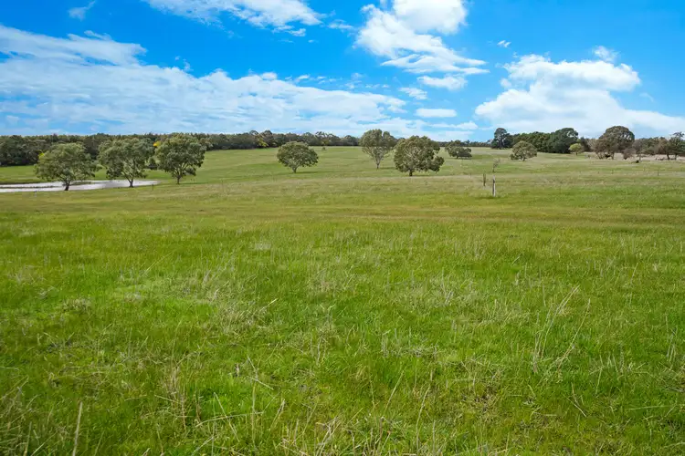 Fourth view of Homely rural property listing, 150 Caroona Lane, Branxholme VIC 3302