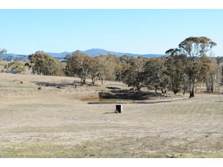 Fourth view of Homely rural property listing, 472 Burrendong Way, Orange NSW 2800