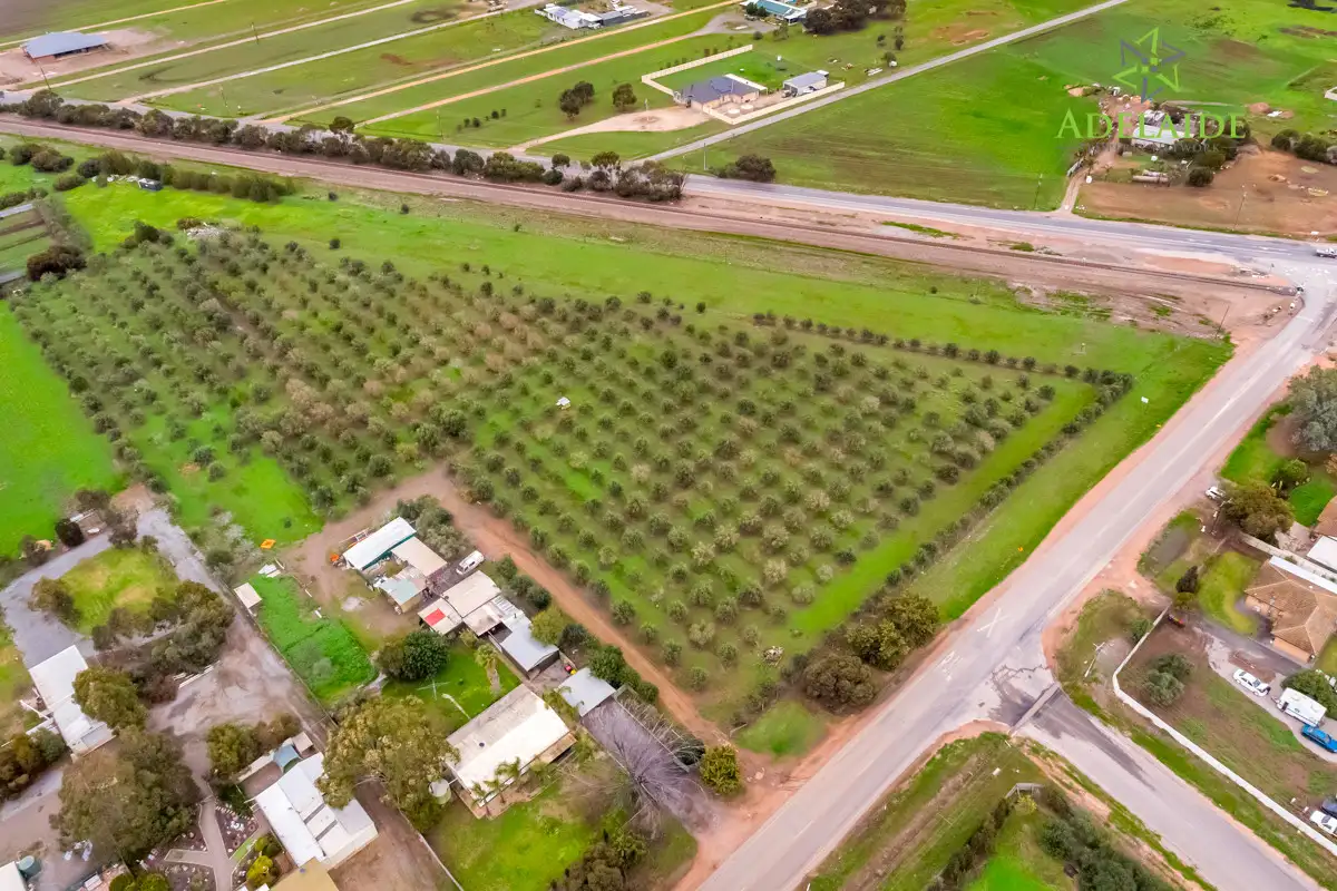 Main view of Homely rural property listing, 2 Dawkins Road, Two Wells SA 5501