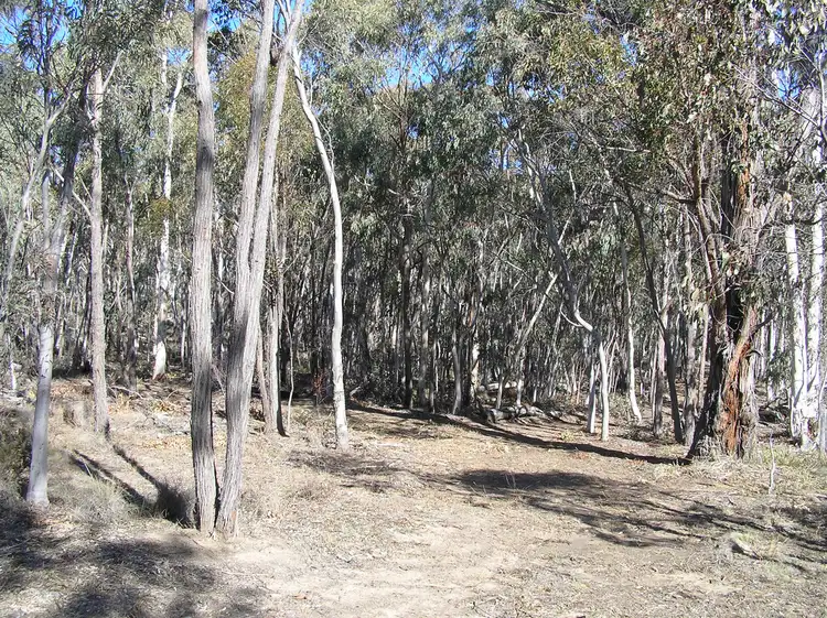 Main view of Homely rural property listing, 7358 Ilford Sofala Road, Ilford NSW 2850