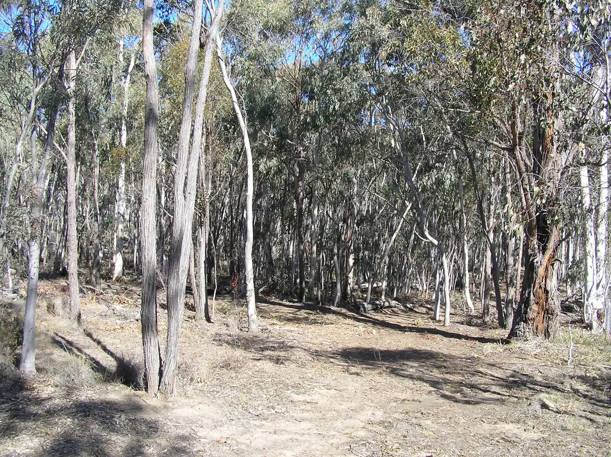Main view of Homely rural property listing, 7358 Ilford Sofala Road, Ilford NSW 2850