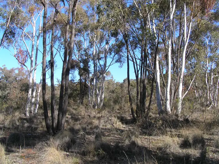 Fourth view of Homely rural property listing, 7358 Ilford Sofala Road, Ilford NSW 2850