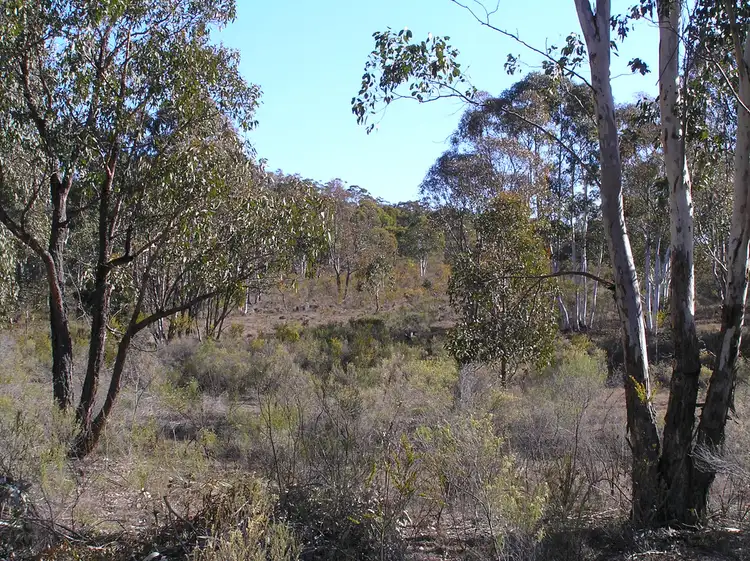 Sixth view of Homely rural property listing, 7358 Ilford Sofala Road, Ilford NSW 2850