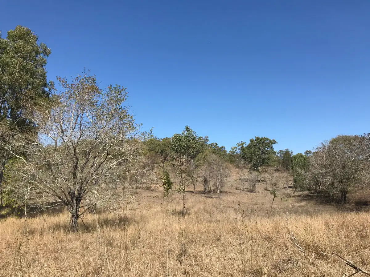 Main view of Homely rural property listing, Lot 157 Connors Road, Stanwell QLD 4702