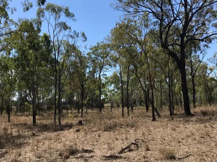 Third view of Homely rural property listing, Lot 157 Connors Road, Stanwell QLD 4702