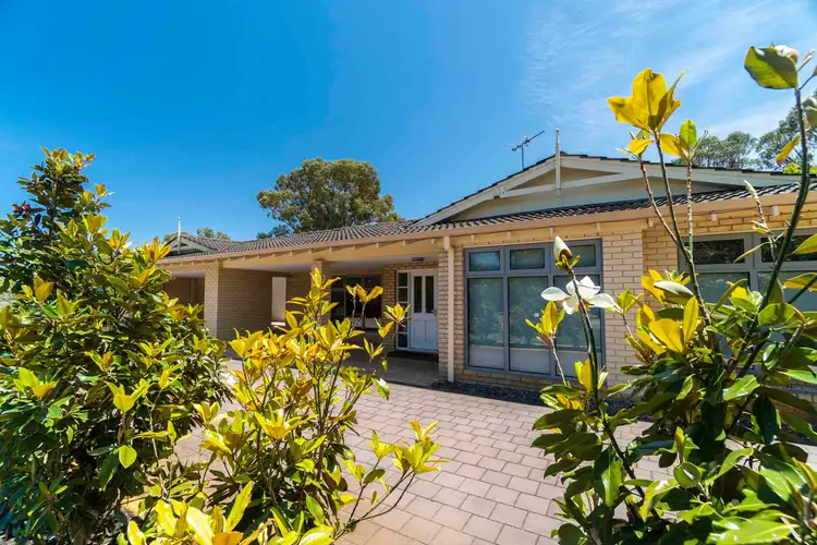 Fifth view of Homely house listing, 3 Kentia Loop, Wanneroo WA 6065