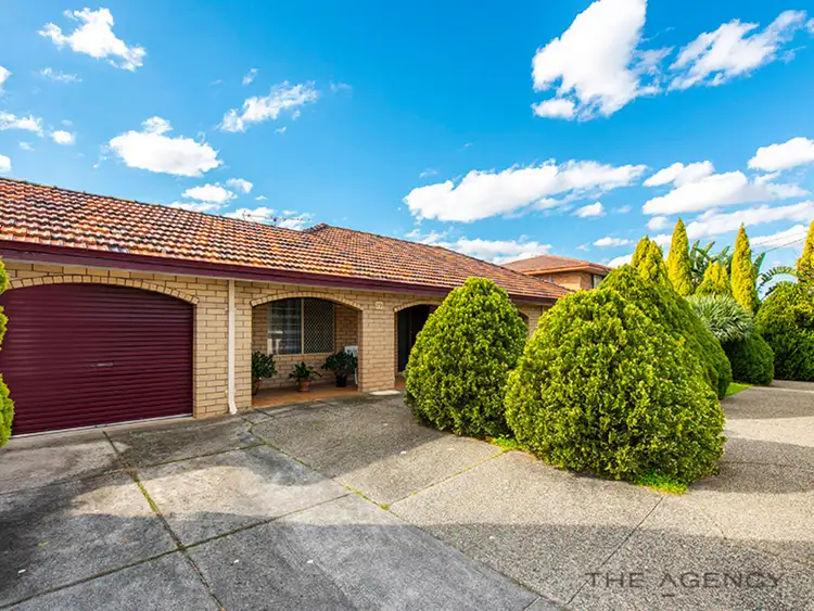 Main view of Homely house listing, 19 Rickman Street, Balcatta WA 6021