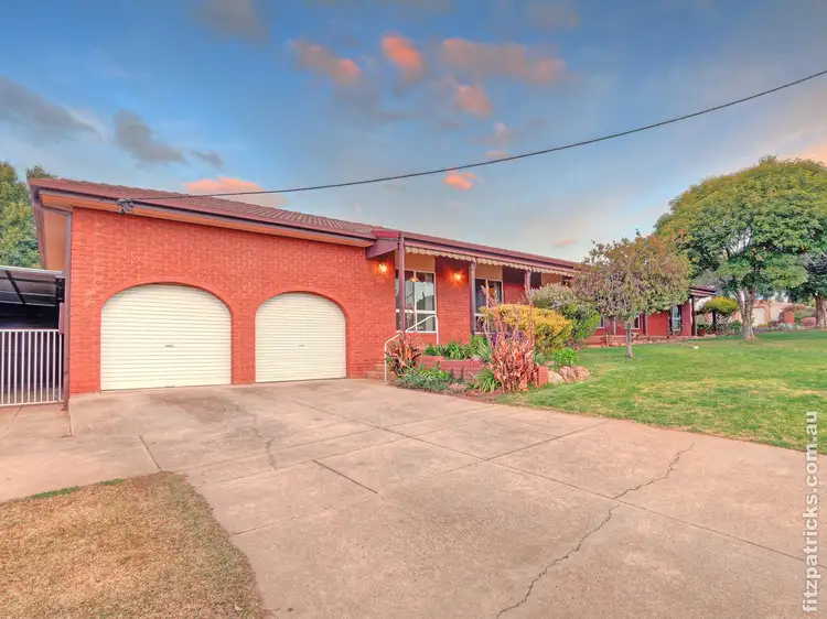 25 Alexander Street, Ashmont NSW 2650