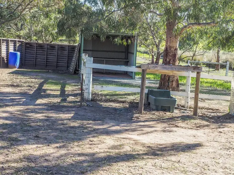 Main view of Homely rural property listing, 20-24 Bronzewing Drive, Boston SA 5607