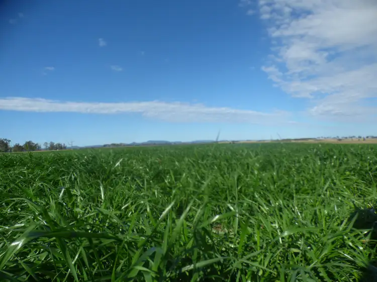 Fourth view of Homely rural property listing, "Kroehnerts" Fullers Road, Ulmarra NSW 2462