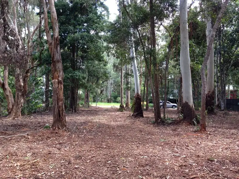 Main view of Homely land listing, 8 Rainforest Court, Boreen Point QLD 4565