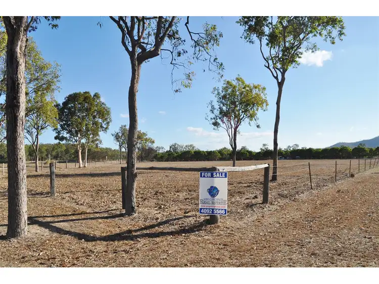 Sixth view of Homely rural property listing, 2855 Mareeba - Dimbulah Road, Mutchilba QLD 4872