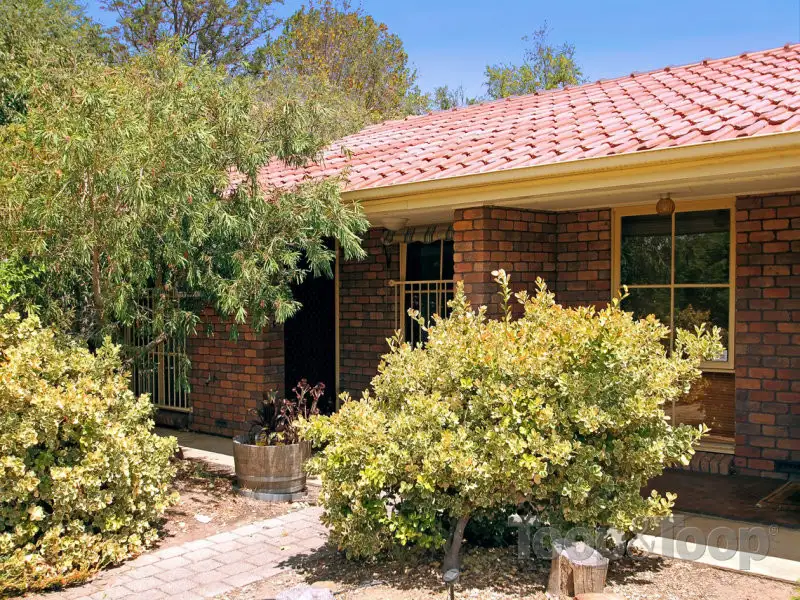 Main view of Homely unit listing, 13/38 Murray Terrace, Oaklands Park SA 5046