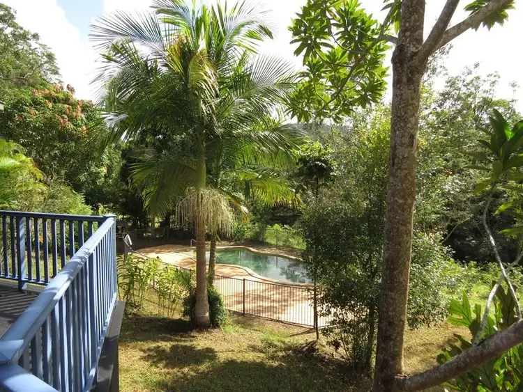 Sixth view of Homely rural property listing, 1355 Tyalgum Road, Tyalgum NSW 2484