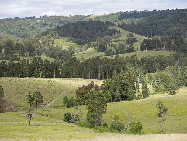 Sixth view of Homely rural property listing, 221 Blue Bonnet Road, Lambs Valley NSW 2335