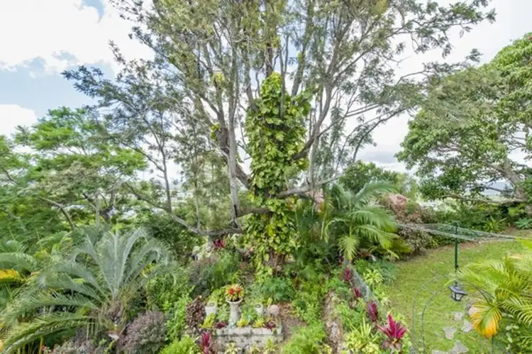 Seventh view of Homely house listing, 11 Old Ferry Road, Murwillumbah NSW 2484