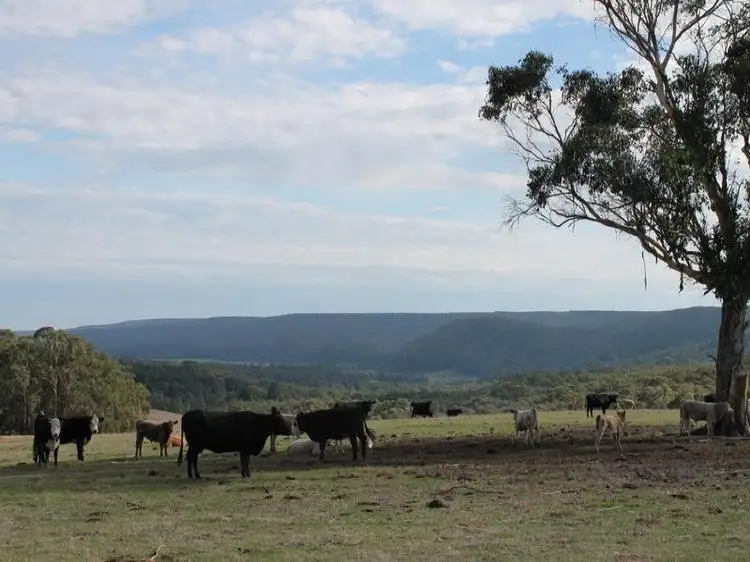 Fourth view of Homely rural property listing, 1695 Carlisle Road, Carlisle River VIC 3239